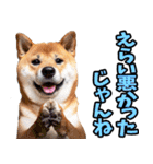 山梨甲州弁☆柴犬（個別スタンプ：32）