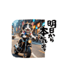 【動く】バイクが好き❤️ねこ 2（個別スタンプ：7）