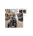【動く】バイクが好き❤️ねこ 2（個別スタンプ：13）