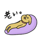 シュッとしたイヌ ♡犬の日2025♡（個別スタンプ：5）