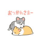 いちコギのうごくスタンプ6（個別スタンプ：4）