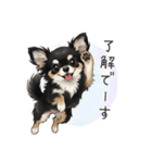 いつでも使える♡チワワの日常（個別スタンプ：3）