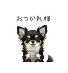 いつでも使える♡チワワの日常（個別スタンプ：5）