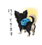 いつでも使える♡チワワの日常（個別スタンプ：7）