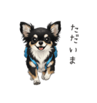 いつでも使える♡チワワの日常（個別スタンプ：8）