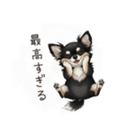 いつでも使える♡チワワの日常（個別スタンプ：13）