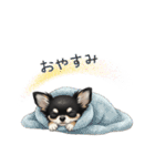 いつでも使える♡チワワの日常（個別スタンプ：14）