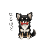 いつでも使える♡チワワの日常（個別スタンプ：15）