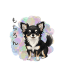 いつでも使える♡チワワの日常（個別スタンプ：16）