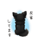 いつでも使える♡チワワの日常（個別スタンプ：17）