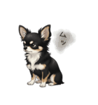 いつでも使える♡チワワの日常（個別スタンプ：19）