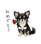 いつでも使える♡チワワの日常（個別スタンプ：21）