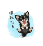 いつでも使える♡チワワの日常（個別スタンプ：23）