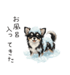 いつでも使える♡チワワの日常（個別スタンプ：28）