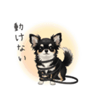 いつでも使える♡チワワの日常（個別スタンプ：30）