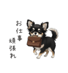 いつでも使える♡チワワの日常（個別スタンプ：33）