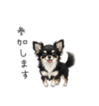 いつでも使える♡チワワの日常（個別スタンプ：34）