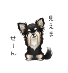 いつでも使える♡チワワの日常（個別スタンプ：36）