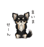 いつでも使える♡チワワの日常（個別スタンプ：38）