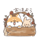 ほんわかしばいぬと森の仲間たち（個別スタンプ：1）