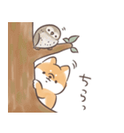 ほんわかしばいぬと森の仲間たち（個別スタンプ：14）