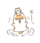 ほんわかしばいぬと森の仲間たち（個別スタンプ：24）