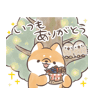 ほんわかしばいぬと森の仲間たち（個別スタンプ：36）