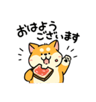 柴犬むち【犬の日2025】（個別スタンプ：1）