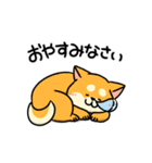 柴犬むち【犬の日2025】（個別スタンプ：2）