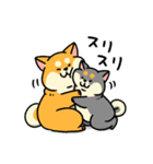 柴犬むち【犬の日2025】（個別スタンプ：4）