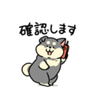 柴犬むち【犬の日2025】（個別スタンプ：6）