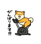 柴犬むち【犬の日2025】（個別スタンプ：9）