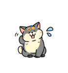 柴犬むち【犬の日2025】（個別スタンプ：10）