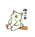 柴犬むち【犬の日2025】（個別スタンプ：12）