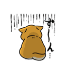 柴犬むち【犬の日2025】（個別スタンプ：14）