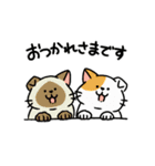 柴犬むち【犬の日2025】（個別スタンプ：16）