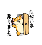 柴犬むち【犬の日2025】（個別スタンプ：18）