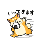 柴犬むち【犬の日2025】（個別スタンプ：19）