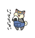 柴犬むち【犬の日2025】（個別スタンプ：20）