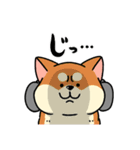 柴犬むち【犬の日2025】（個別スタンプ：21）