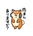 柴犬むち【犬の日2025】（個別スタンプ：22）