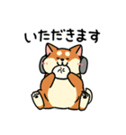 柴犬むち【犬の日2025】（個別スタンプ：24）