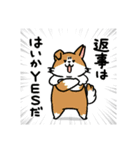 柴犬むち【犬の日2025】（個別スタンプ：25）