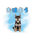 くろしば子犬の毎日スタンプ【犬の日】（個別スタンプ：1）