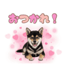 くろしば子犬の毎日スタンプ【犬の日】（個別スタンプ：6）