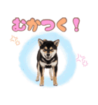 くろしば子犬の毎日スタンプ【犬の日】（個別スタンプ：28）