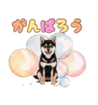 くろしば子犬の毎日スタンプ【犬の日】（個別スタンプ：31）