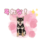 くろしば子犬の毎日スタンプ【犬の日】（個別スタンプ：32）