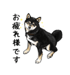 意外と使えるリアル犬の熱い愛（個別スタンプ：5）