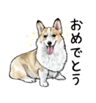 意外と使えるリアル犬の熱い愛（個別スタンプ：6）